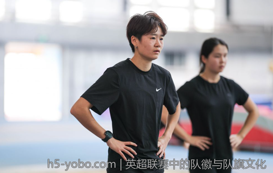 英超联赛中的队徽与队旗文化