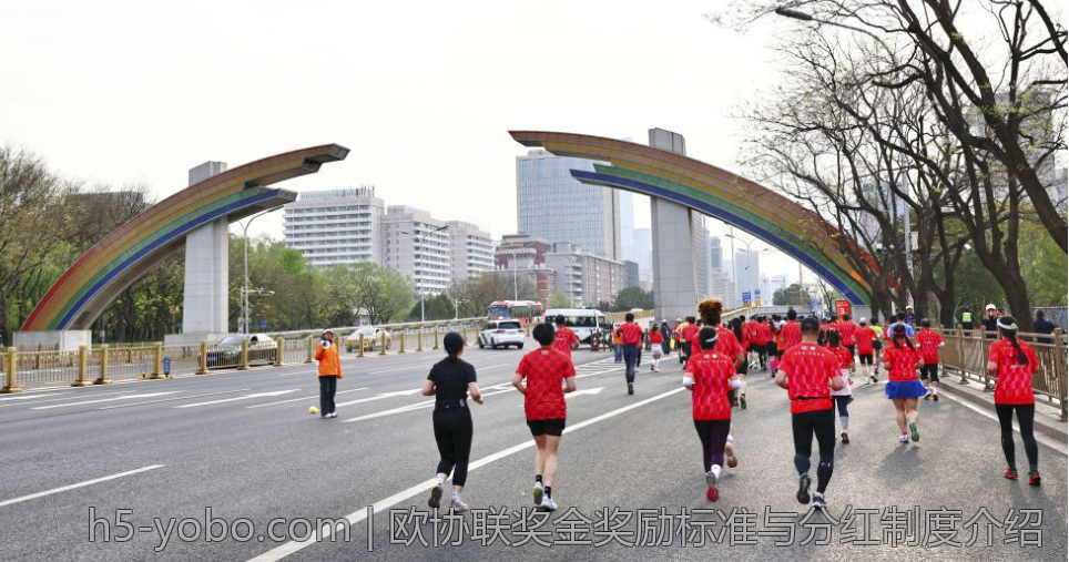 欧协联奖金奖励标准与分红制度介绍