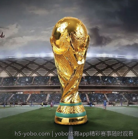 yobo体育app精彩赛事随时观看