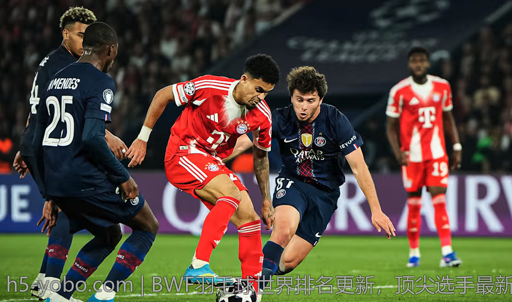 BWF羽毛球世界排名更新，顶尖选手最新排名分析